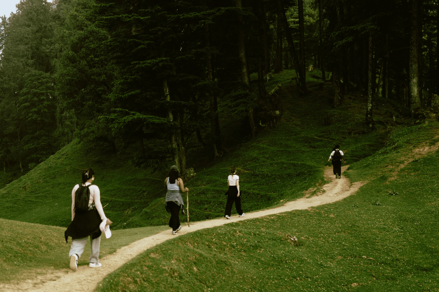 Group of people hiking along a narrow dirt path through a green forest landscape.