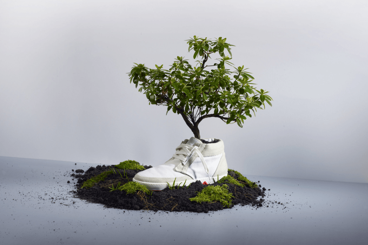 OAT Shoes