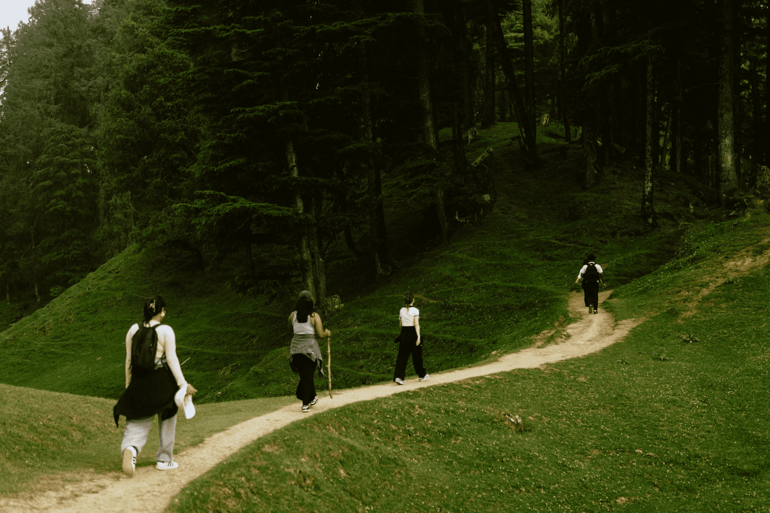 Group of people hiking along a narrow dirt path through a green forest landscape.