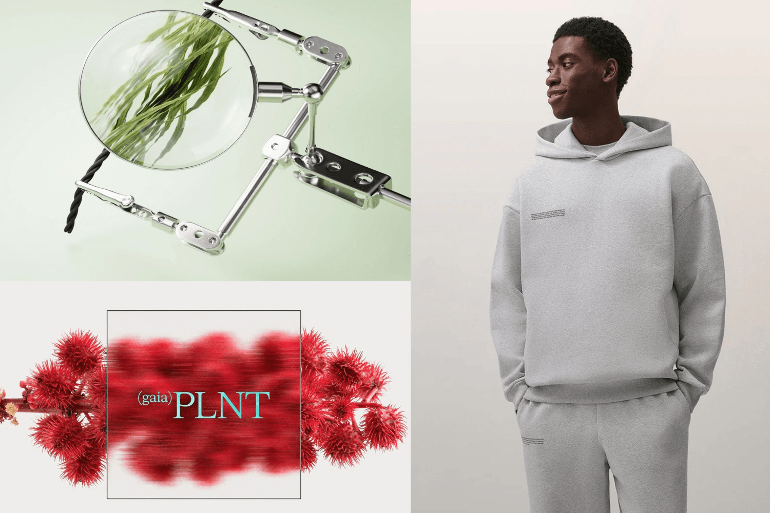 Pangaia sustainability