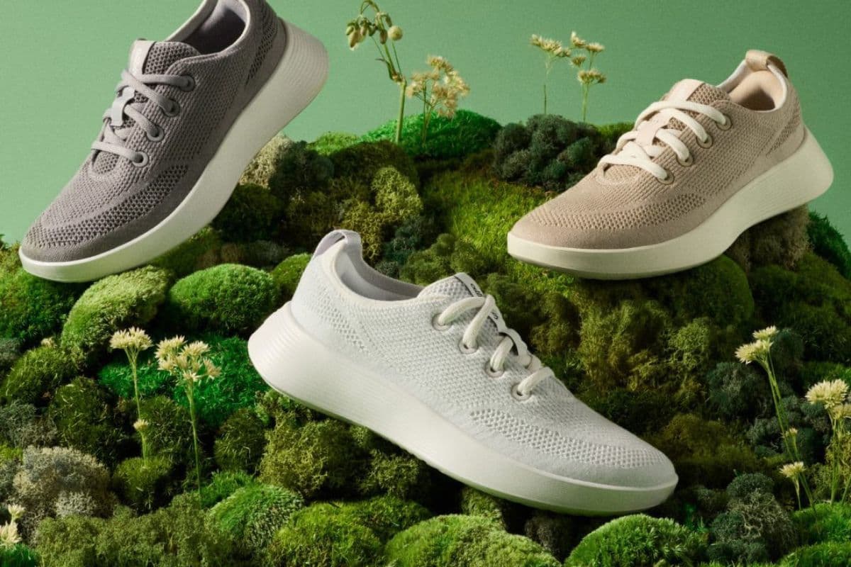 Allbirds