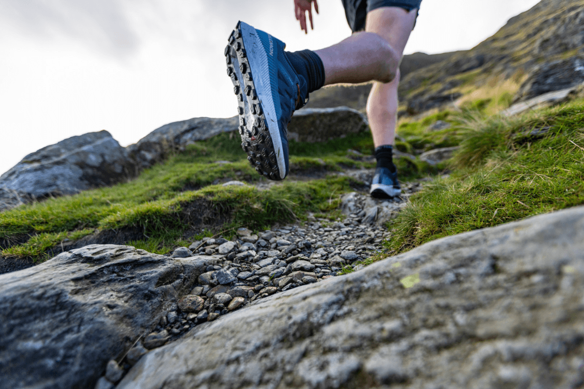 Salomon Vision