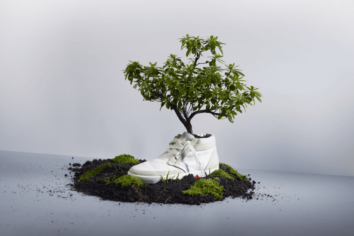OAT Shoes