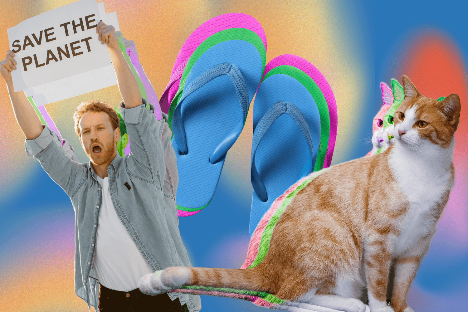 Flip-flops, cat, man